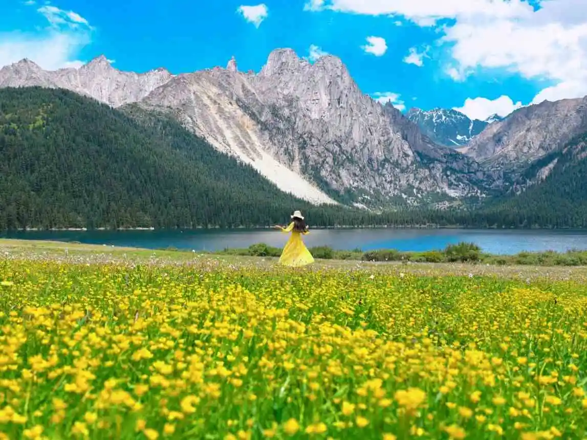 HUAWEI Pura 80 Scenery Photo (1)