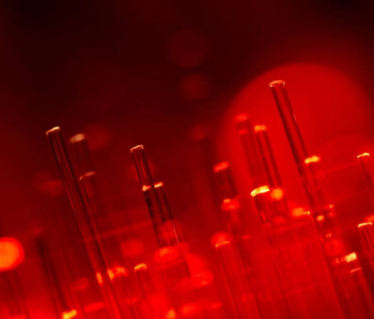 Red Fiber banner