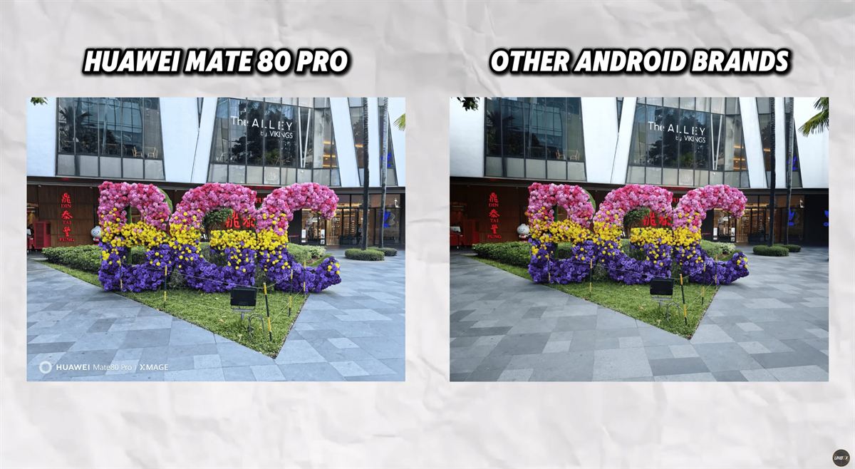 HUAWEI Mate 80 Pro Color accuracy Photo