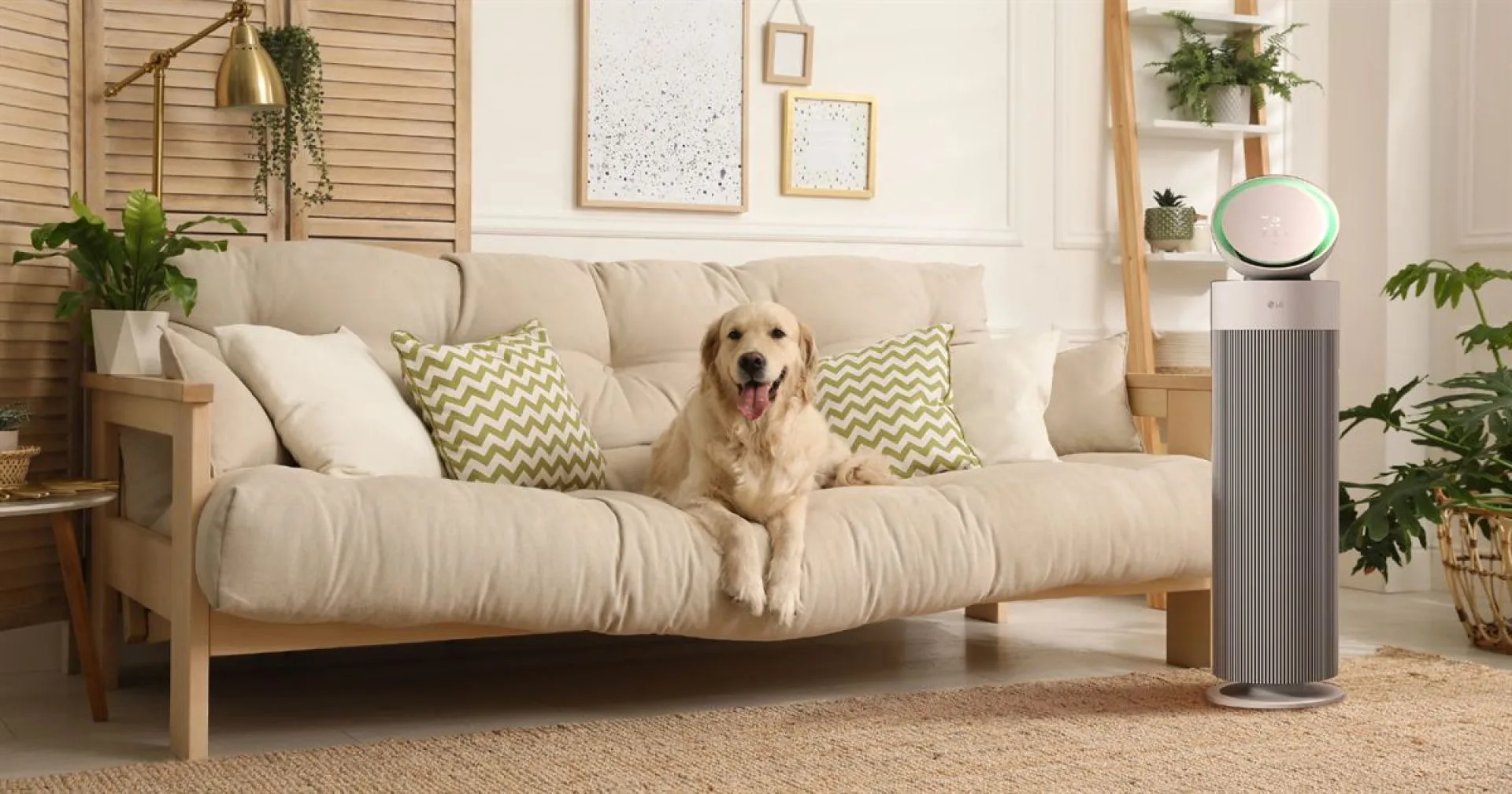 LG Aerobooster Pet (4)