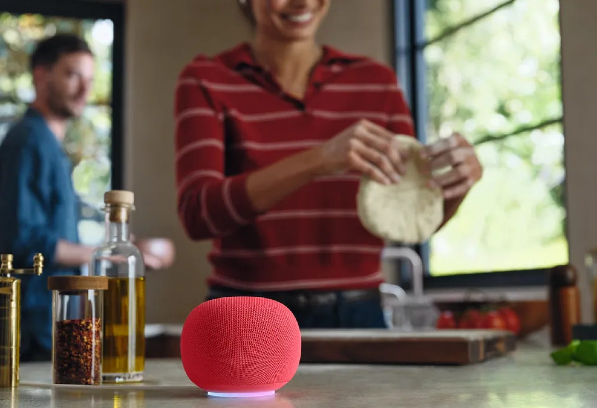 Google Home Speaker launch 3