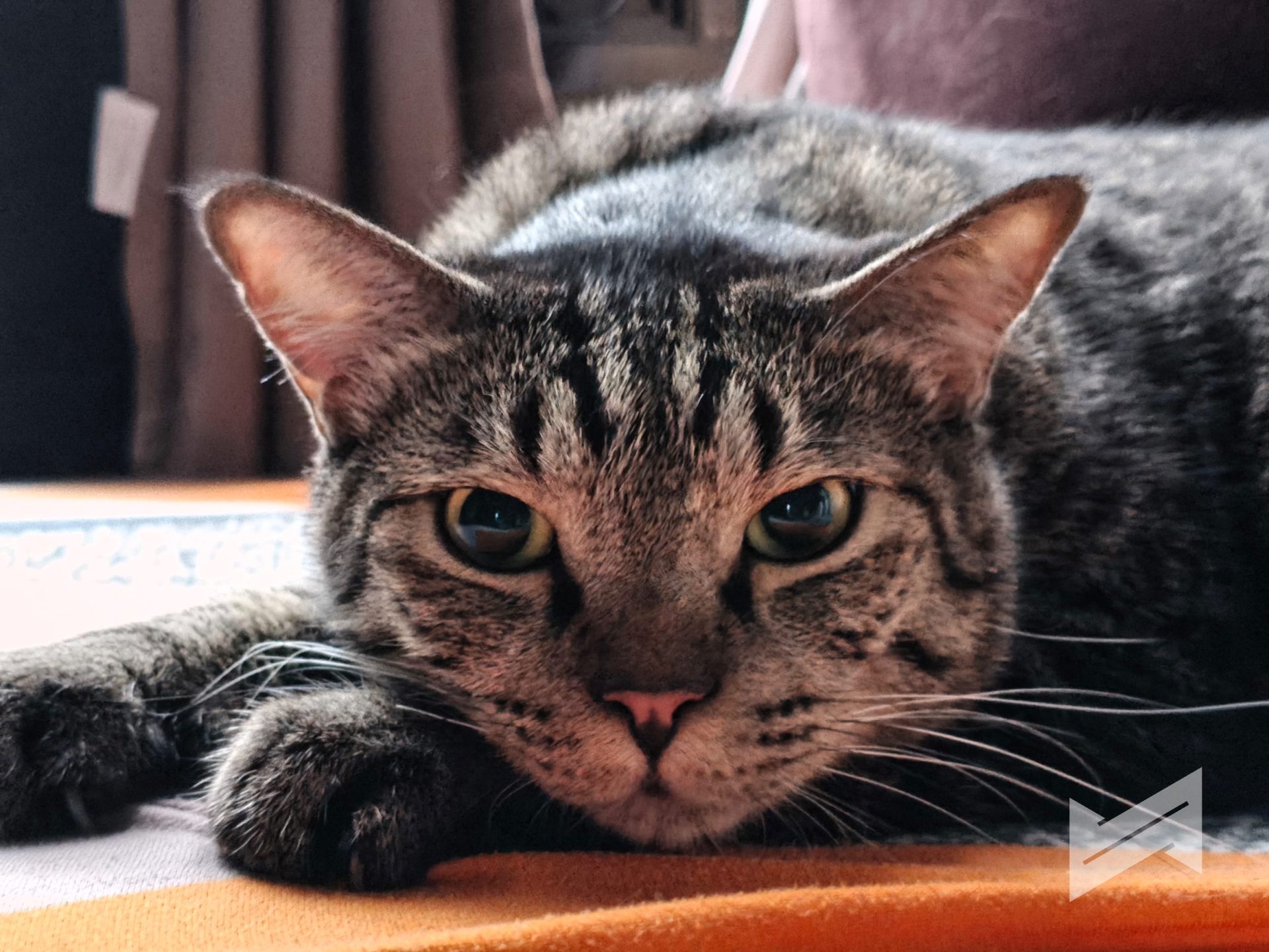 Infinix GT50 Pro Sample Photos Gadget Pilipinas 10
