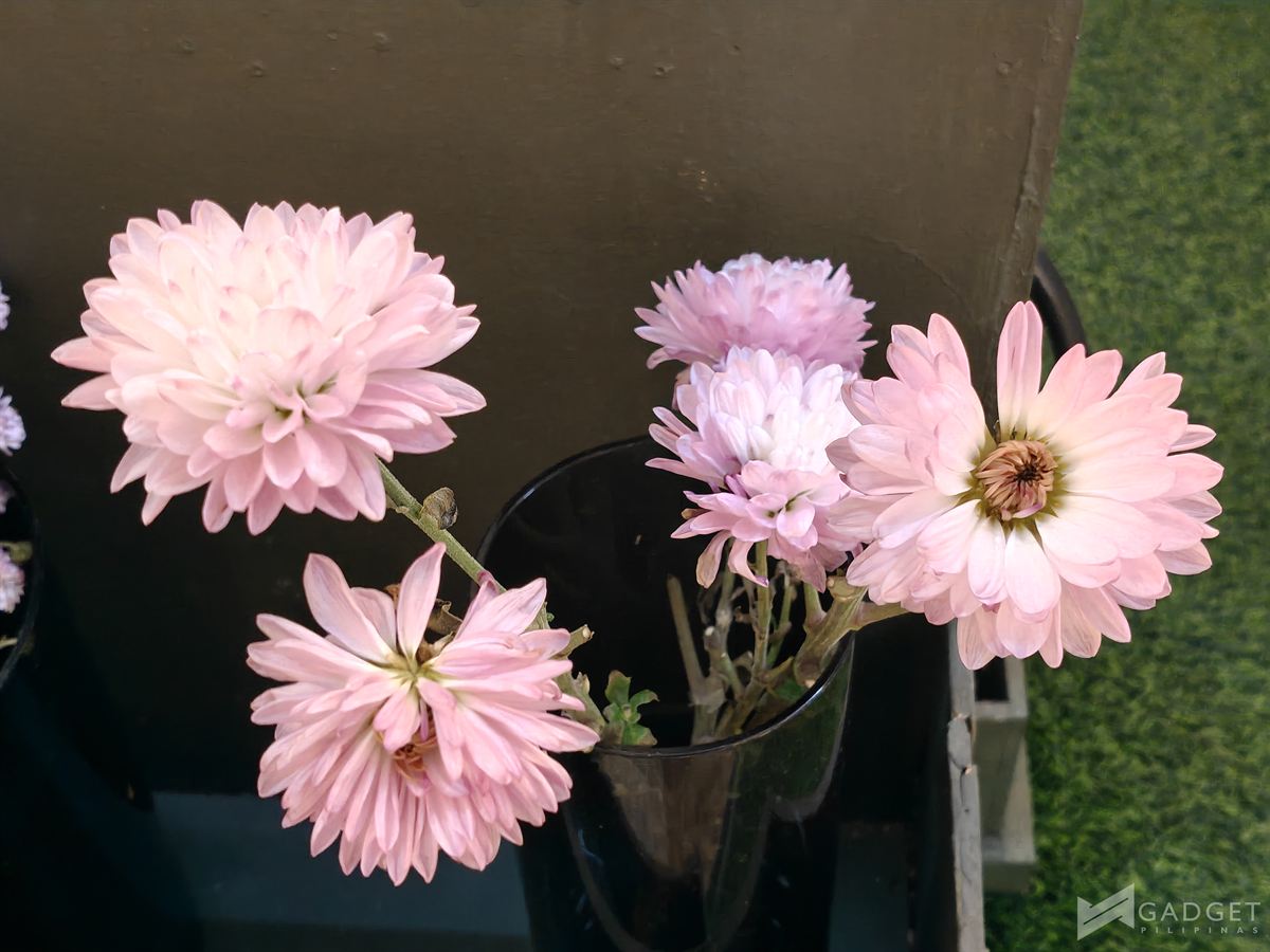 OnePlus Nord 6 Review Camera (23)