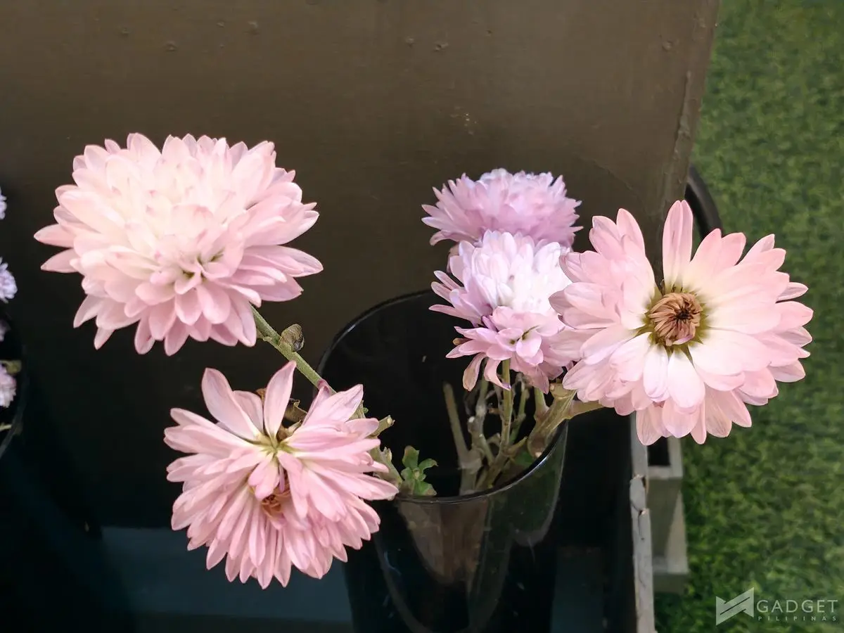 OnePlus Nord 6 Review Camera (23)