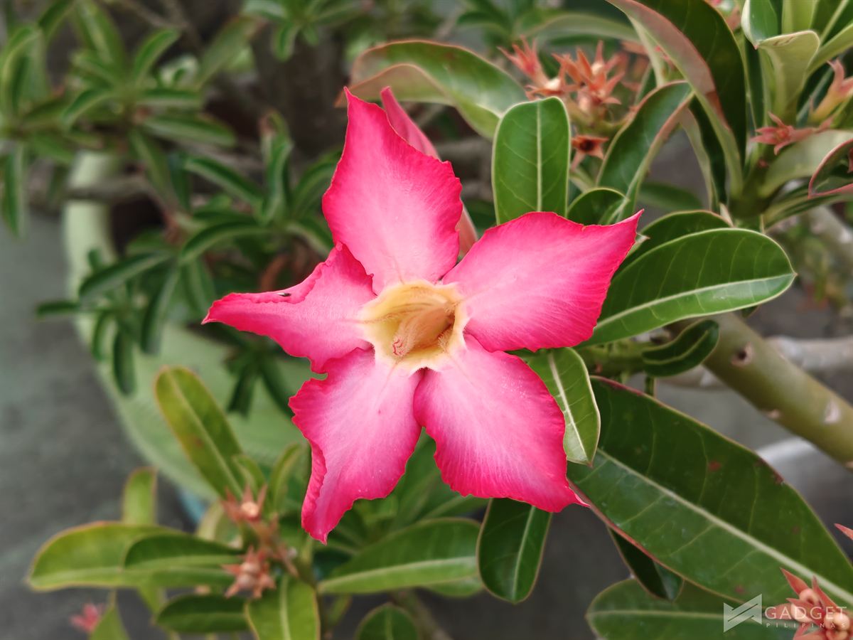 OnePlus Nord 6 Review Camera (35)