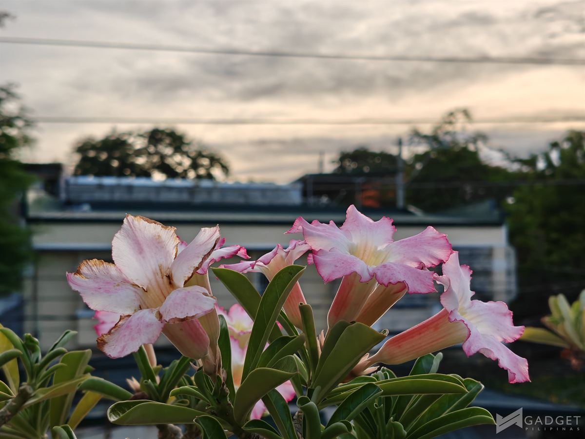 OnePlus Nord 6 Review Camera (40)