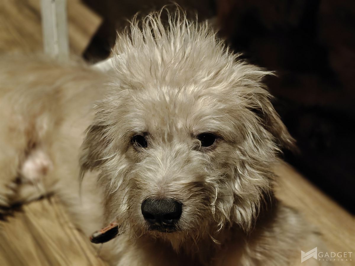 OnePlus Nord 6 Review Camera Sample (2)